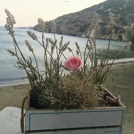 Apanemo Dom wakacyjny