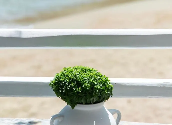 Casa de Férias Kyma Residence *